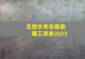 北控水务总裁助理工资表2023