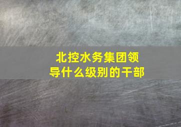 北控水务集团领导什么级别的干部