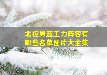 北控男篮主力阵容有哪些名单图片大全集