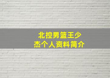 北控男篮王少杰个人资料简介