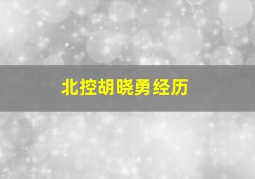 北控胡晓勇经历