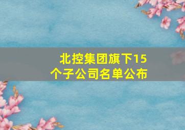 北控集团旗下15个子公司名单公布