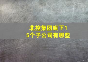 北控集团旗下15个子公司有哪些