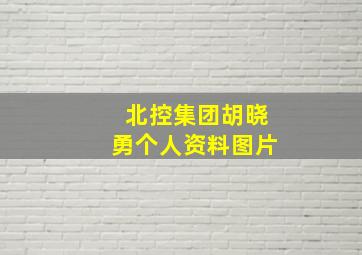 北控集团胡晓勇个人资料图片