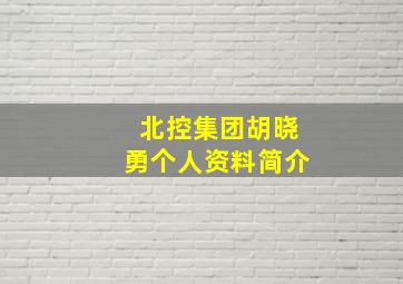 北控集团胡晓勇个人资料简介