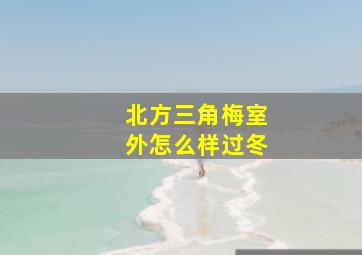 北方三角梅室外怎么样过冬