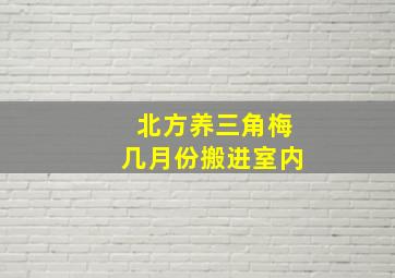 北方养三角梅几月份搬进室内