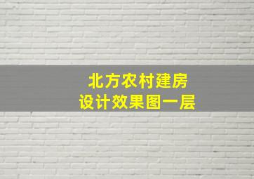 北方农村建房设计效果图一层