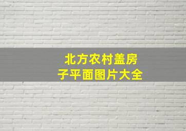 北方农村盖房子平面图片大全