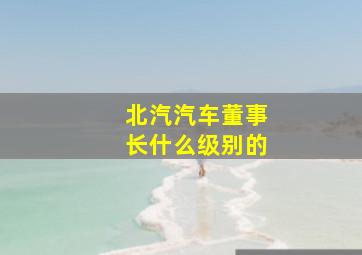 北汽汽车董事长什么级别的