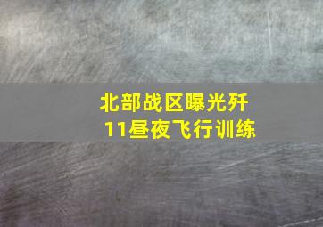 北部战区曝光歼11昼夜飞行训练