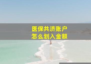 医保共济账户怎么划入金额