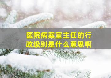 医院病案室主任的行政级别是什么意思啊