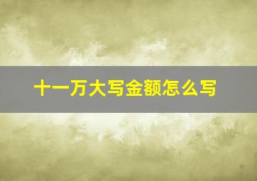 十一万大写金额怎么写