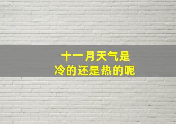 十一月天气是冷的还是热的呢