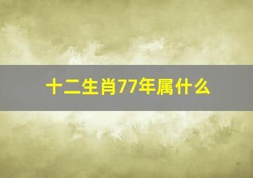 十二生肖77年属什么