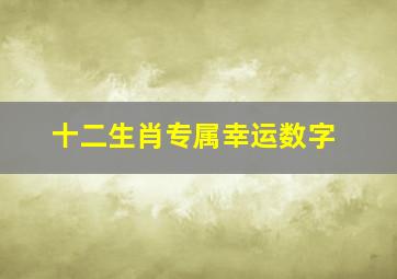 十二生肖专属幸运数字