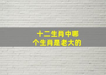 十二生肖中哪个生肖是老大的