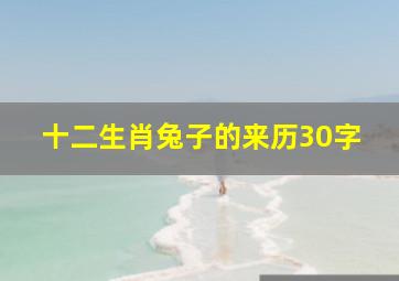 十二生肖兔子的来历30字