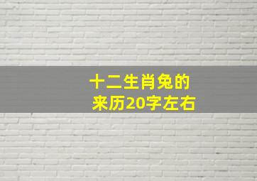 十二生肖兔的来历20字左右