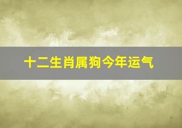 十二生肖属狗今年运气