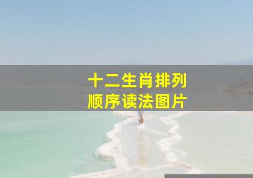 十二生肖排列顺序读法图片