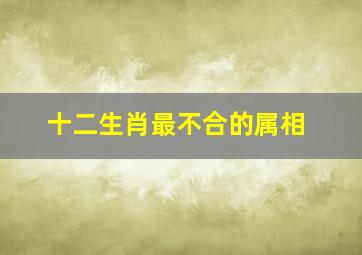 十二生肖最不合的属相