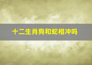 十二生肖狗和蛇相冲吗