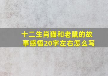 十二生肖猫和老鼠的故事感悟20字左右怎么写