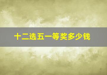 十二选五一等奖多少钱