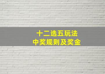 十二选五玩法中奖规则及奖金