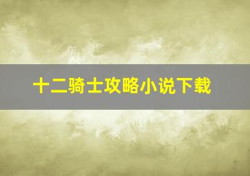 十二骑士攻略小说下载