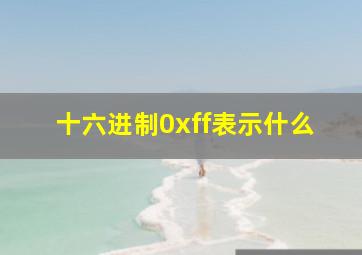 十六进制0xff表示什么