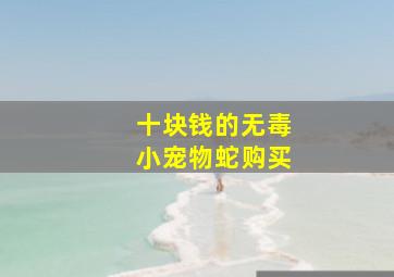 十块钱的无毒小宠物蛇购买