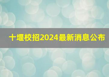 十堰校招2024最新消息公布