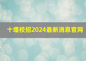 十堰校招2024最新消息官网