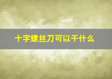 十字螺丝刀可以干什么