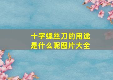 十字螺丝刀的用途是什么呢图片大全