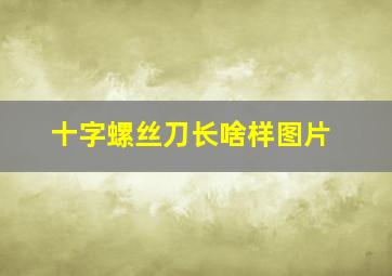 十字螺丝刀长啥样图片