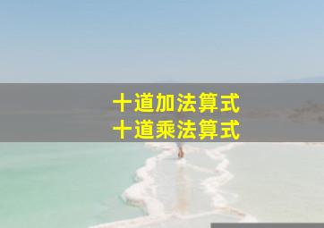 十道加法算式十道乘法算式