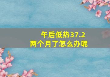 午后低热37.2两个月了怎么办呢