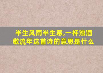 半生风雨半生寒,一杯浊酒敬流年这首诗的意思是什么