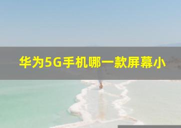 华为5G手机哪一款屏幕小