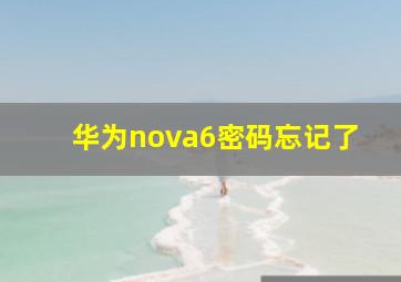 华为nova6密码忘记了