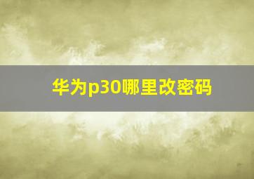 华为p30哪里改密码