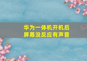 华为一体机开机后屏幕没反应有声音