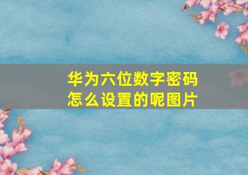 华为六位数字密码怎么设置的呢图片