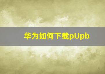 华为如何下载pUpb