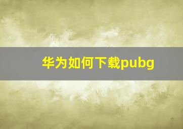 华为如何下载pubg