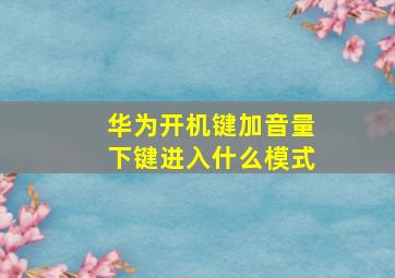 华为开机键加音量下键进入什么模式